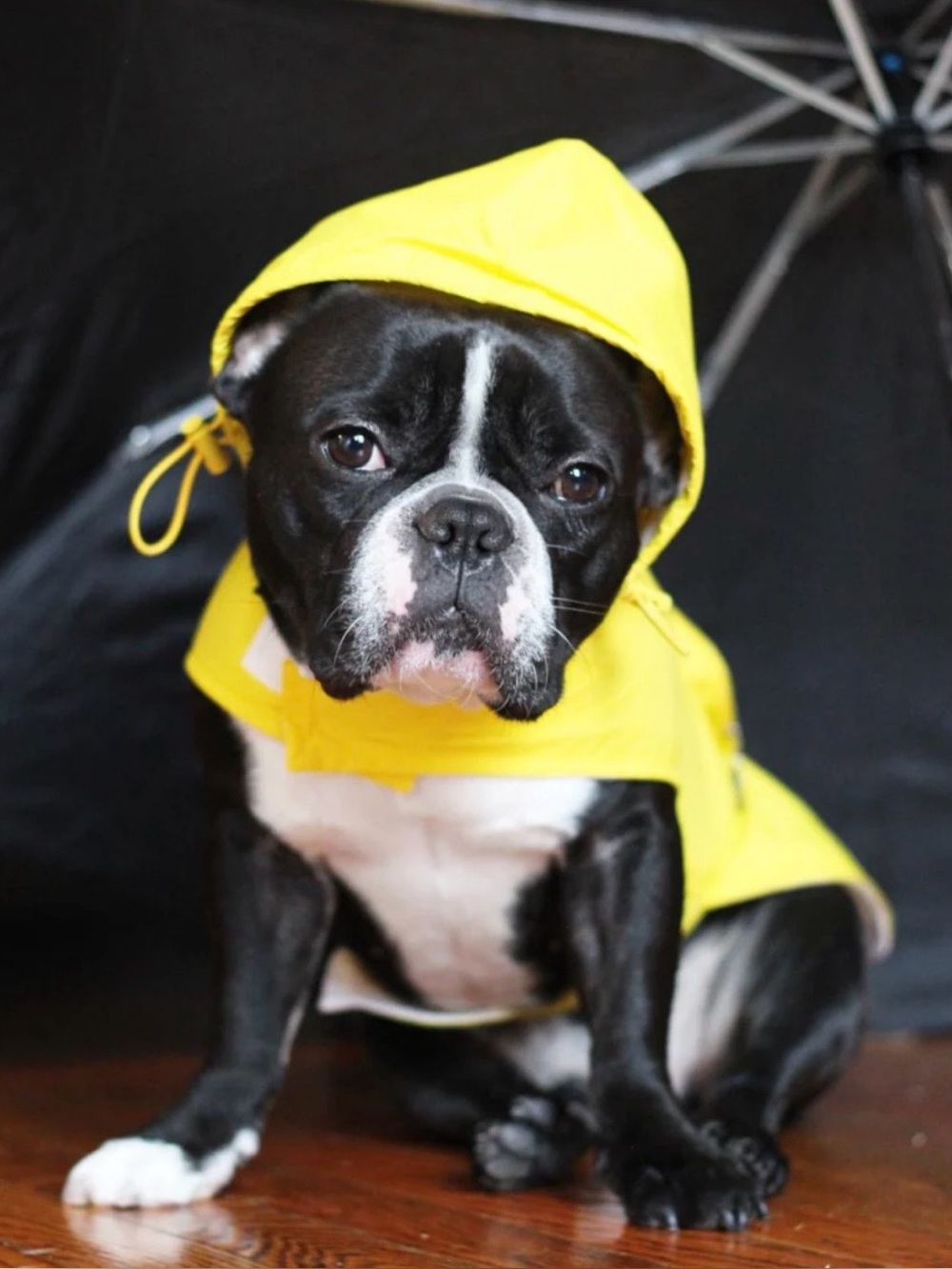 FABDOG SIZE S~YELLOW ARGYLE PATCH PACKAWAY DOG RAINCOAT JACKET